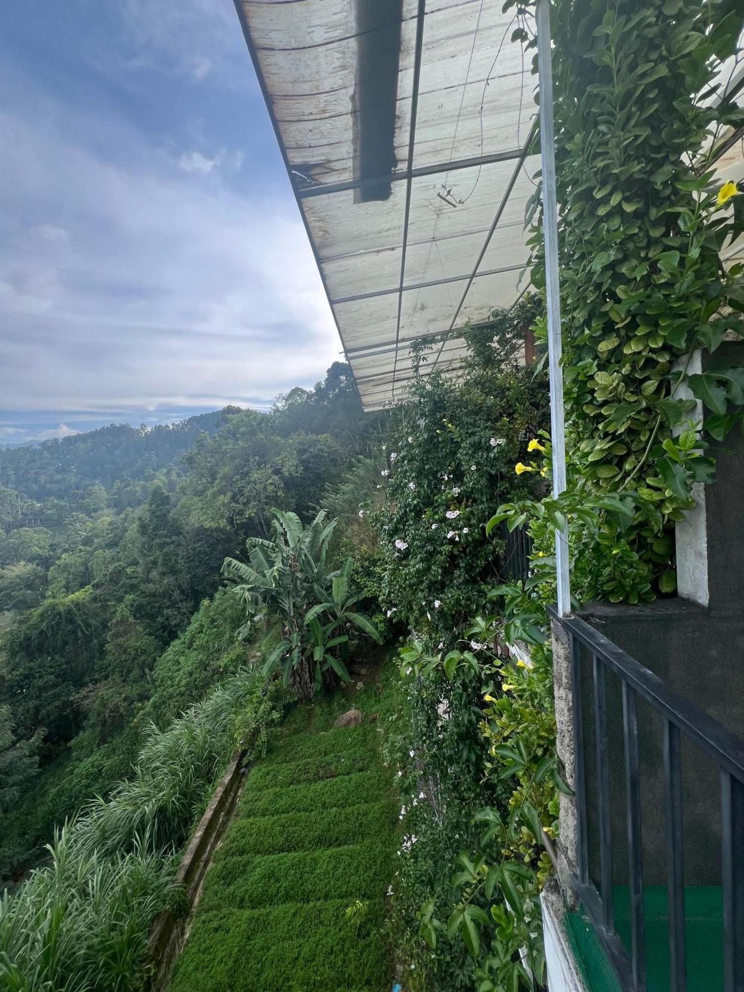 Hillcrest Ella Bed & Breakfast Dış mekan fotoğraf